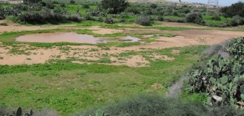 Les villes marocaines de Bizourane et Tagmoute permettra d’atteindre l’autosuffisance énergétique avec la collaboration des îles Canaries et l’Union européenne (en espagnol)